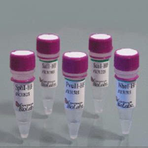 neb enzymes|Shop Reagent Products .